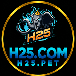 H25